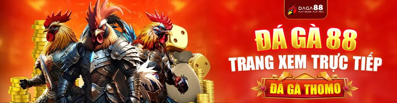 Đá gà trực tuyến kịch tính tại no789 app